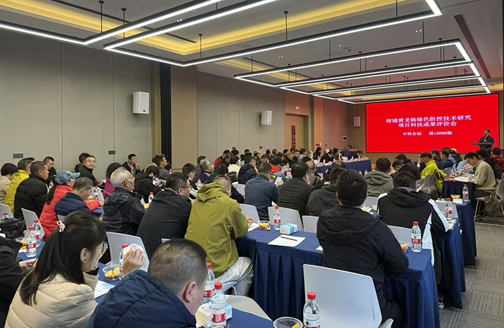 柑橘黄龙病绿色防控技术研究 anli.jpg